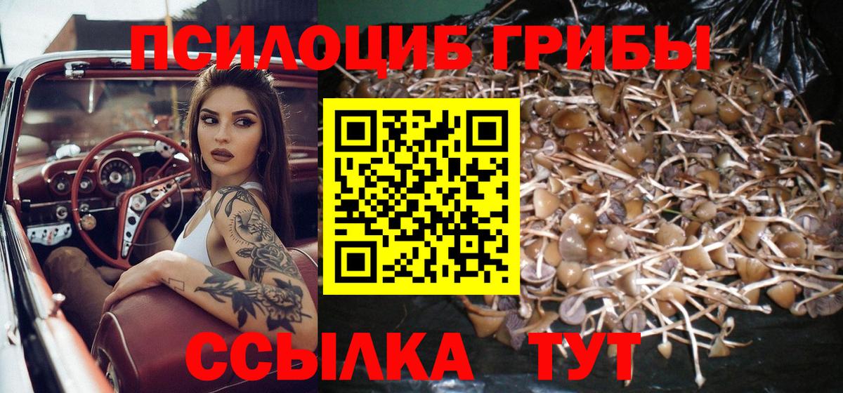 Астрахань  Псилоцибиновые грибы MAGIC MUSHROOMS  наркошоп  Вход с VPN 